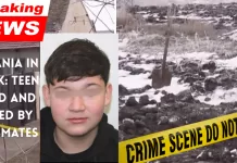 Romania in Shock After Teen Murdered and Buried by Classmates, the main suspects are two other minors, aged 13 and 15